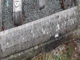 image of grave number 665070